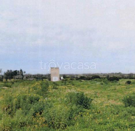 immagine annuncio 6 di 8