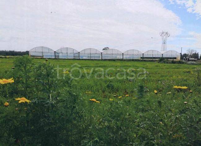 immagine annuncio 7 di 8