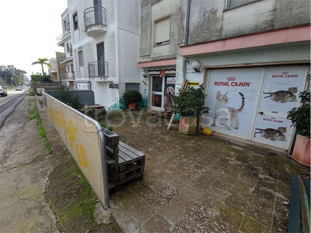 immagine annuncio 2 di 7