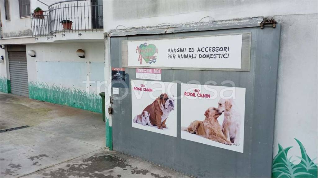 immagine annuncio 5 di 7