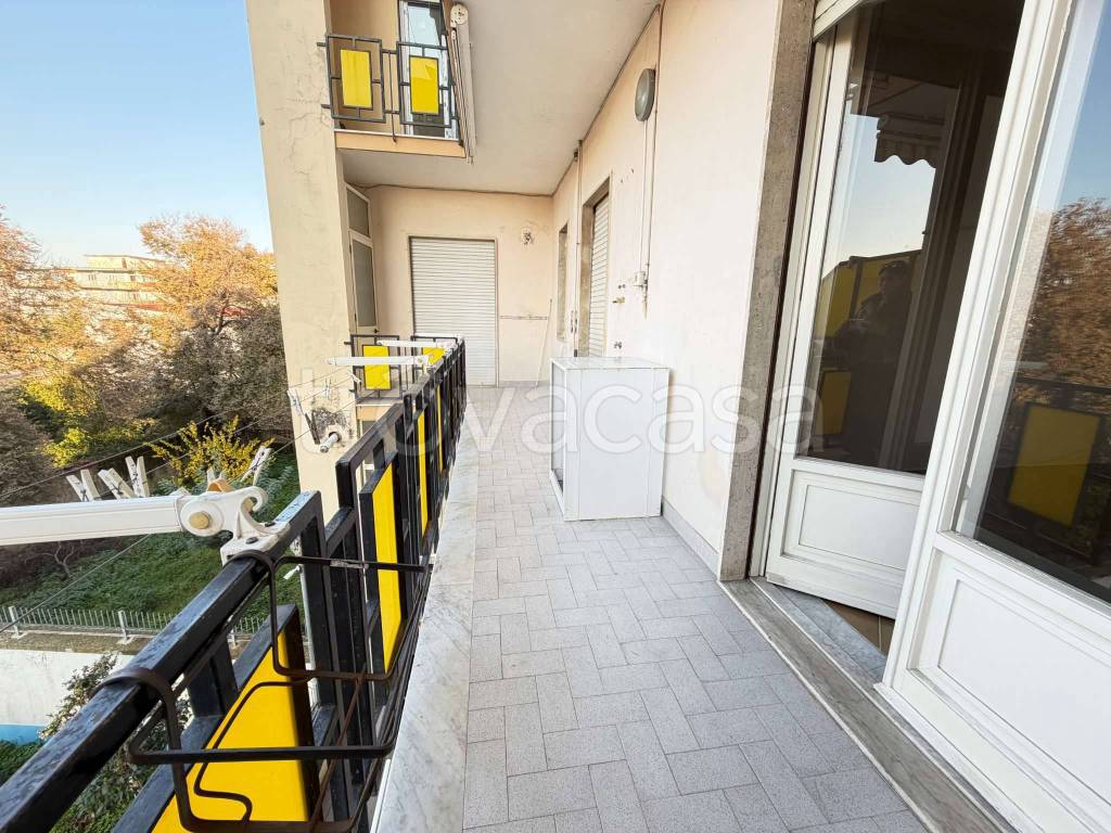 immagine annuncio 5 di 14