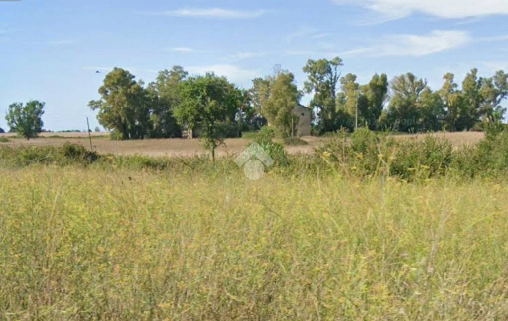 immagine annuncio 2 di 4