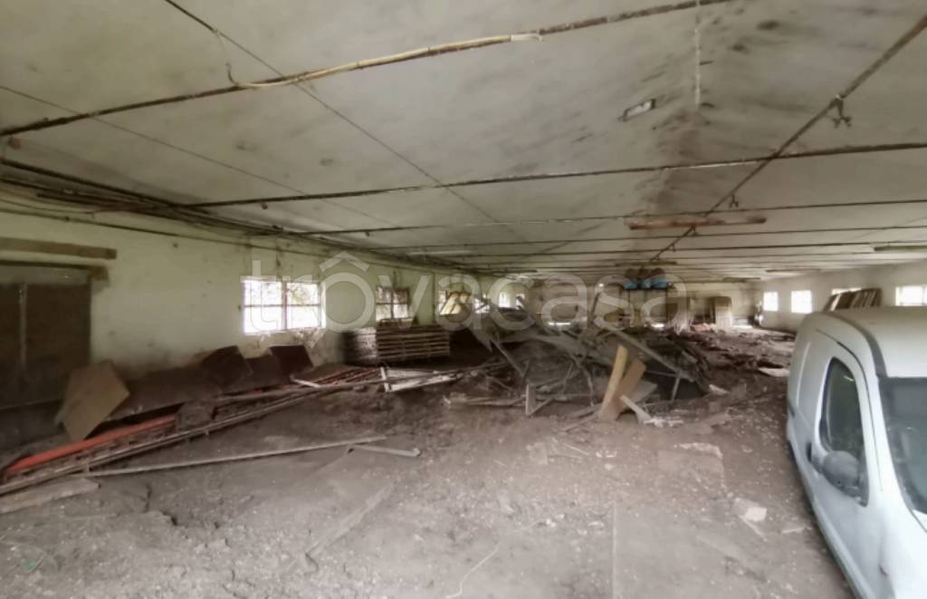 immagine annuncio 3 di 11