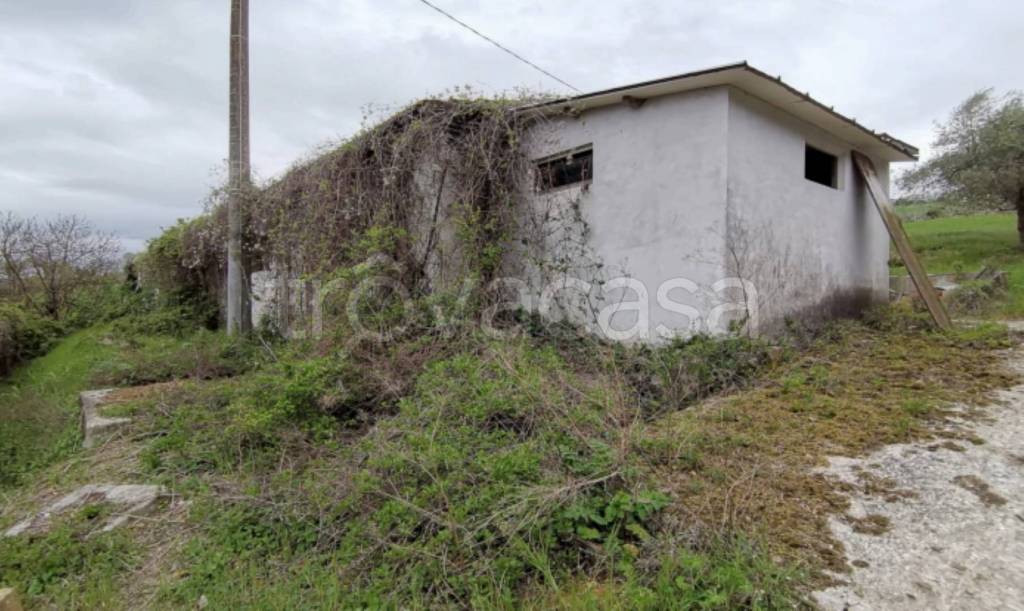 immagine annuncio 4 di 11