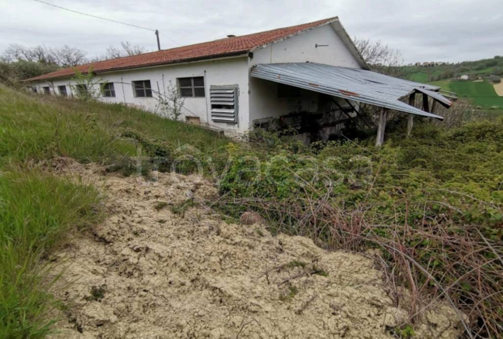 immagine annuncio 5 di 11