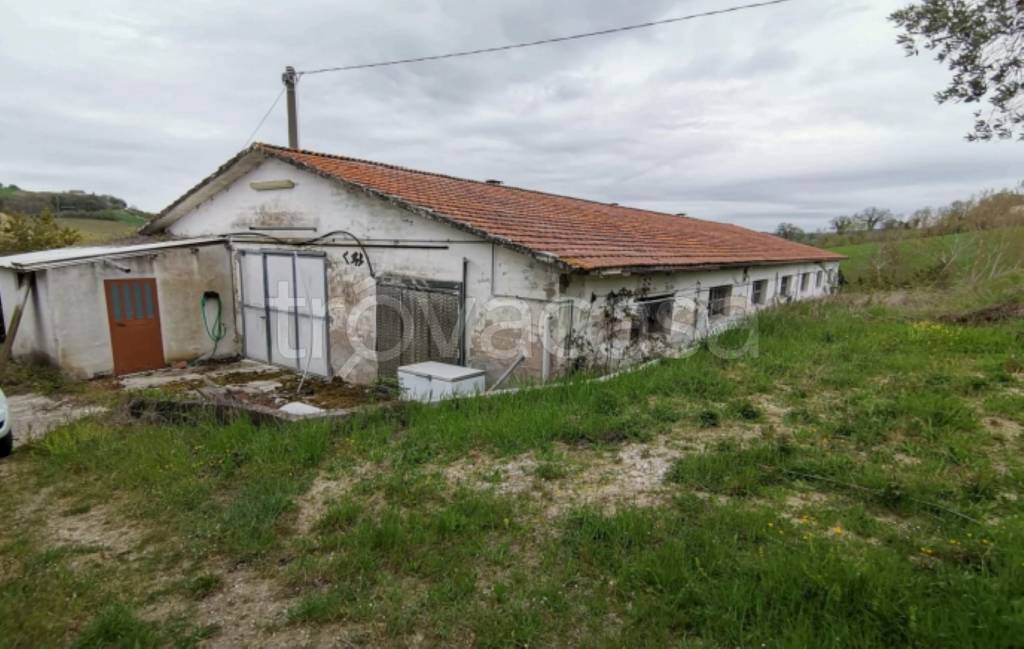 immagine annuncio 6 di 11