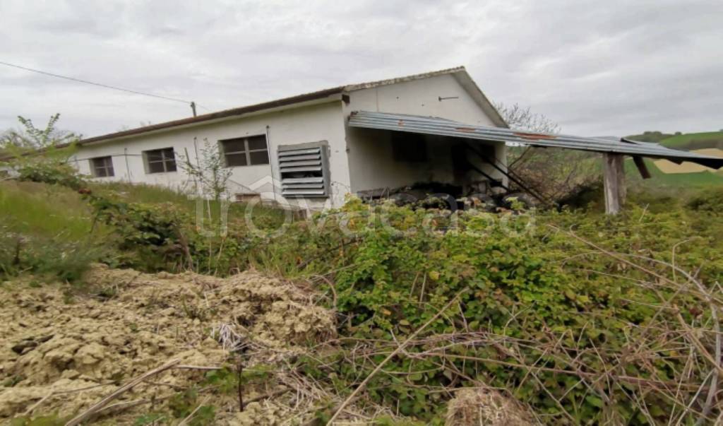 immagine annuncio 7 di 11