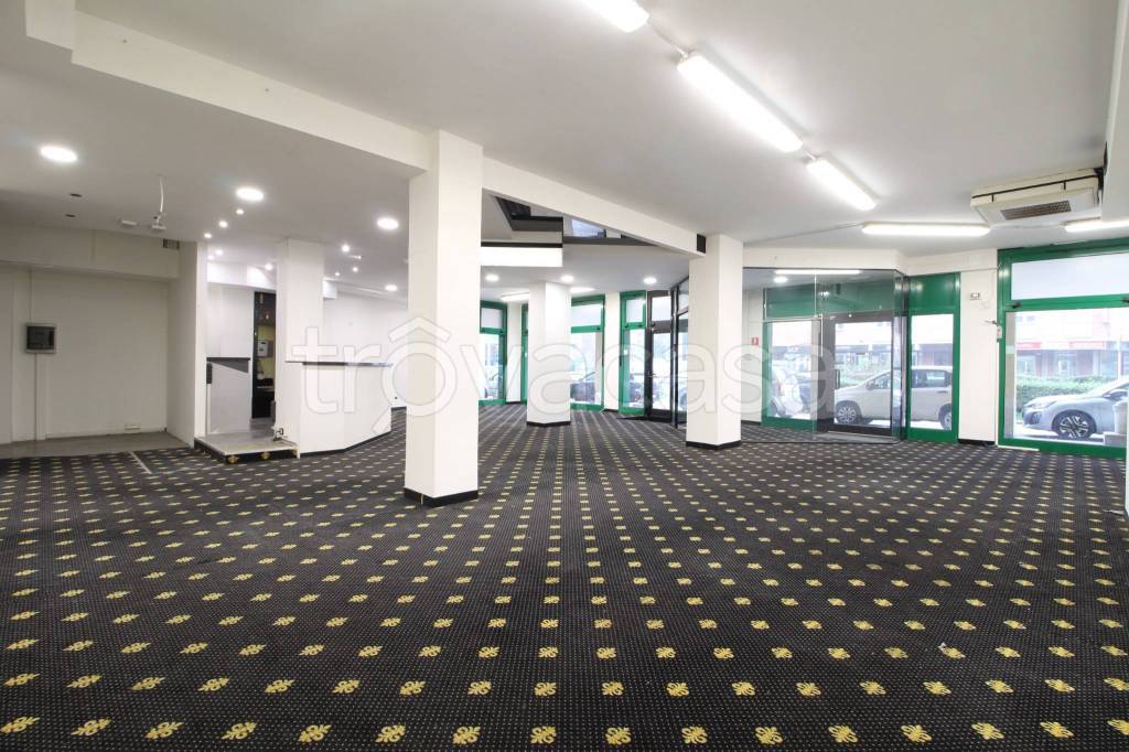 immagine annuncio 9 di 15