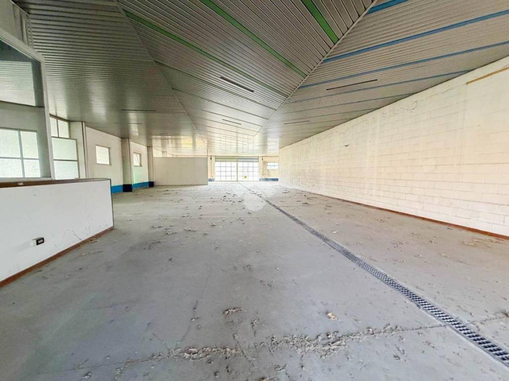 immagine annuncio 4 di 15