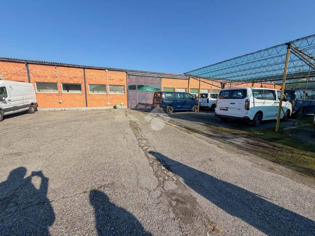 immagine annuncio 9 di 15