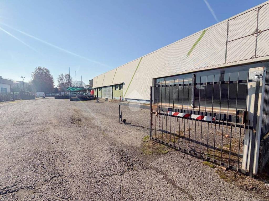 immagine annuncio 12 di 15