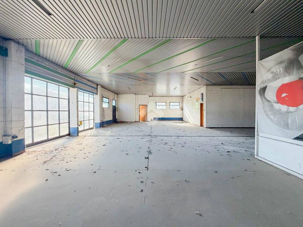 immagine annuncio 14 di 15