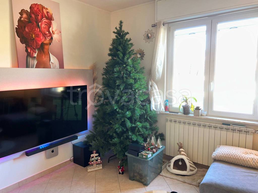 immagine annuncio 1 di 13