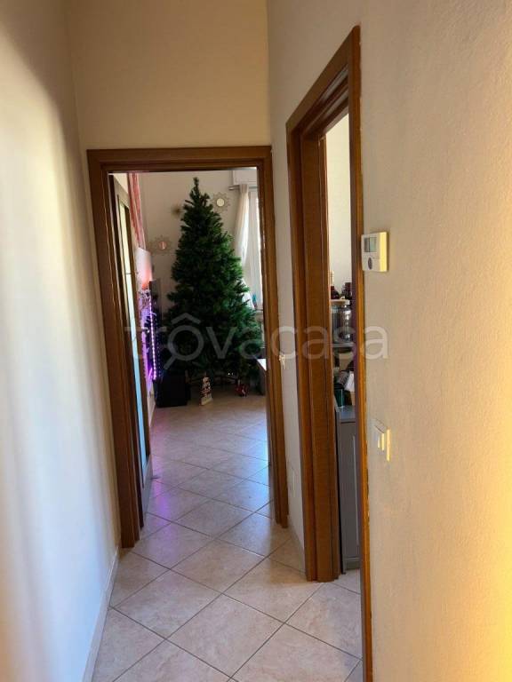 immagine annuncio 5 di 13