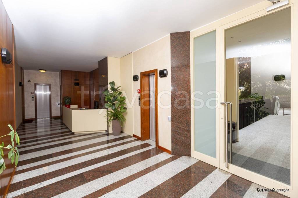 immagine annuncio 5 di 14