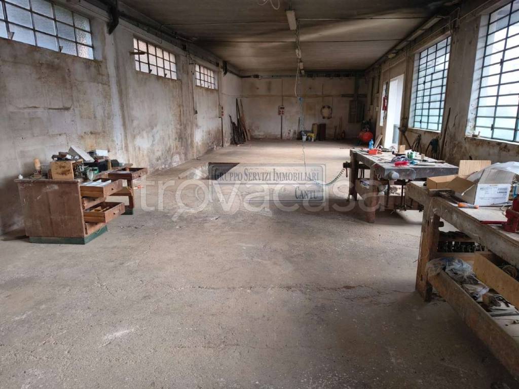 immagine annuncio 3 di 11