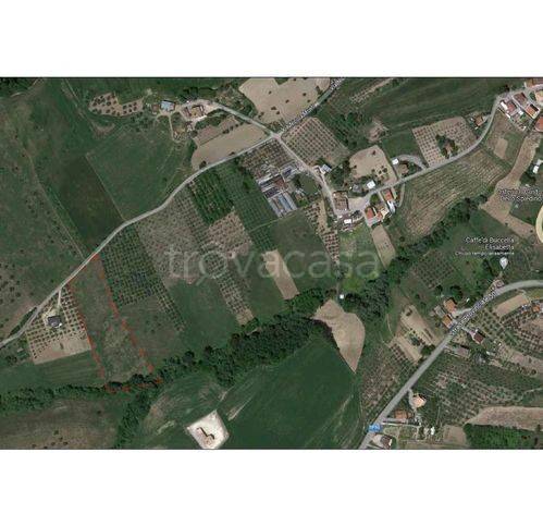 immagine annuncio 3 di 4