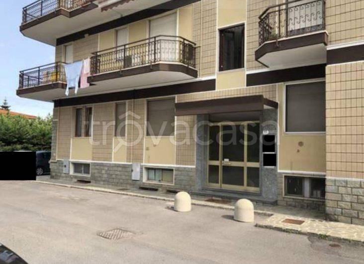 immagine annuncio 3 di 14