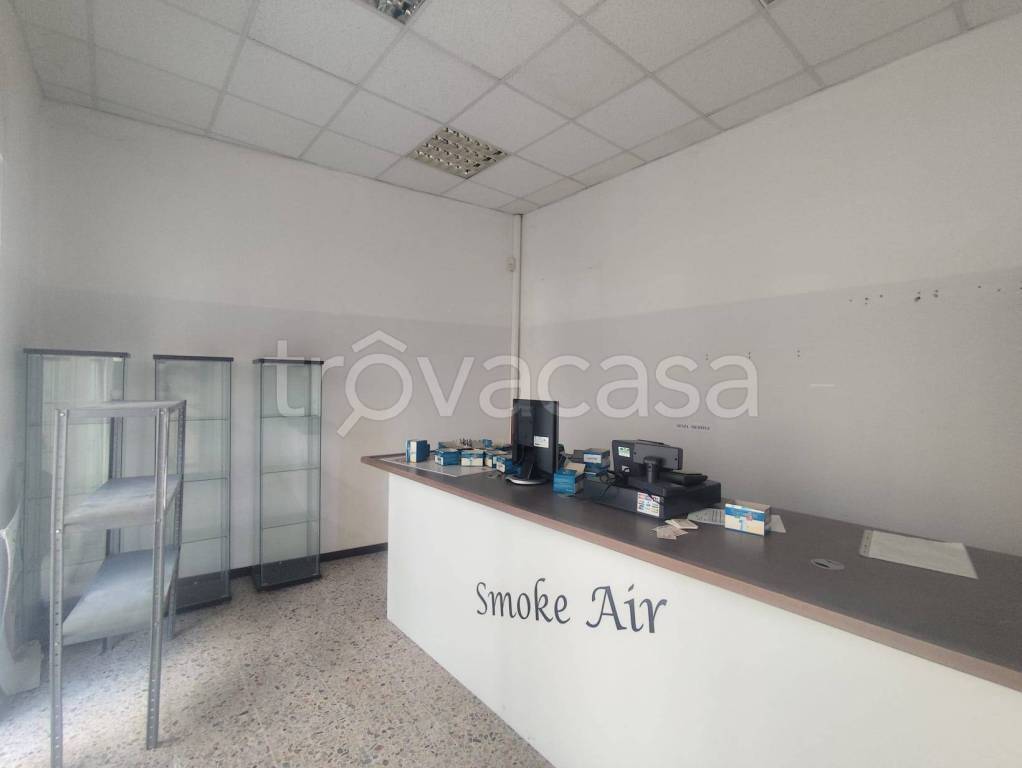 immagine annuncio 4 di 14