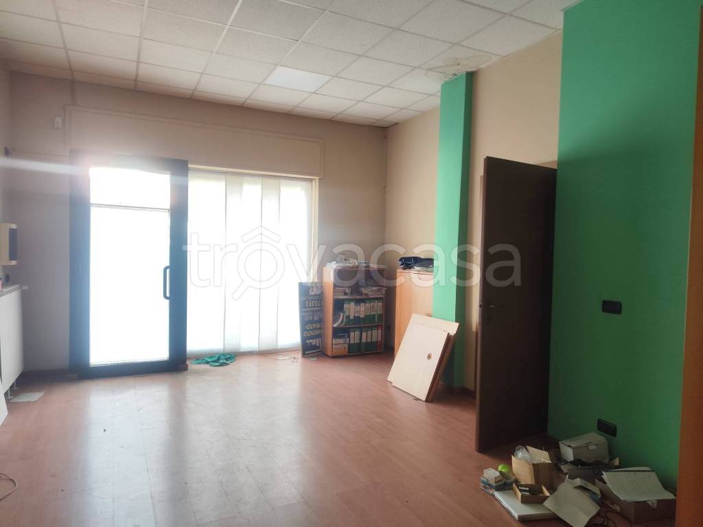 immagine annuncio 9 di 14