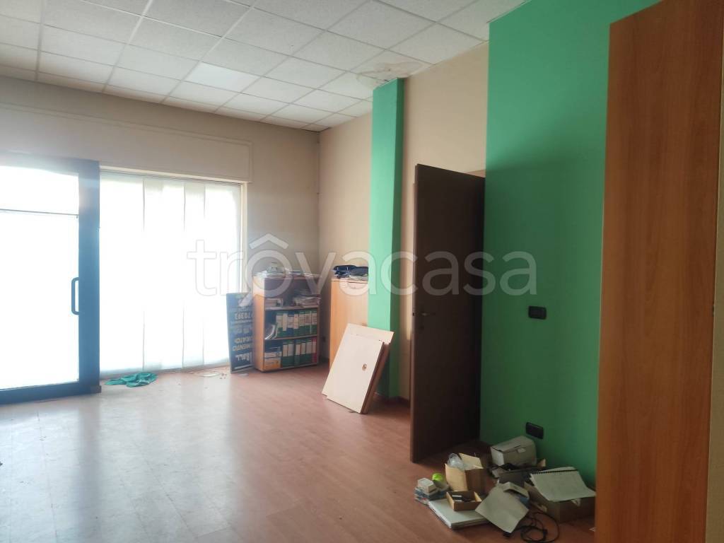 immagine annuncio 10 di 14