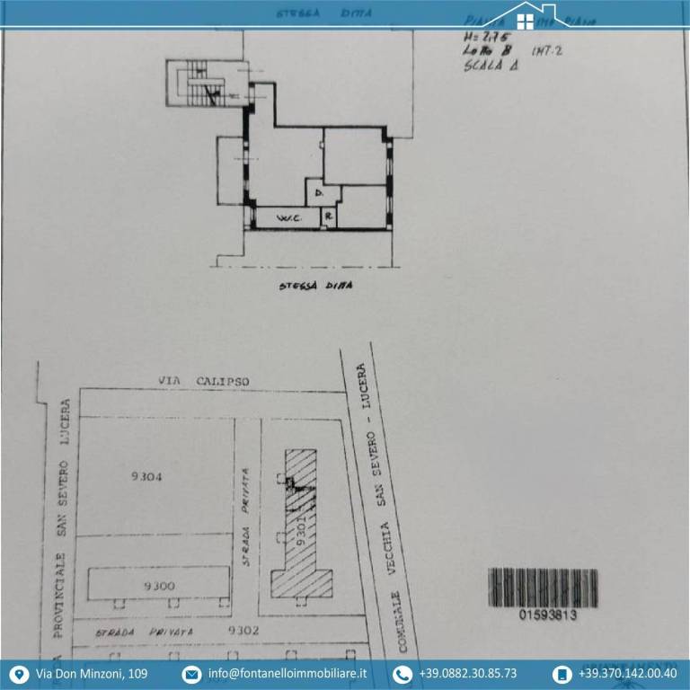 immagine annuncio 11 di 12