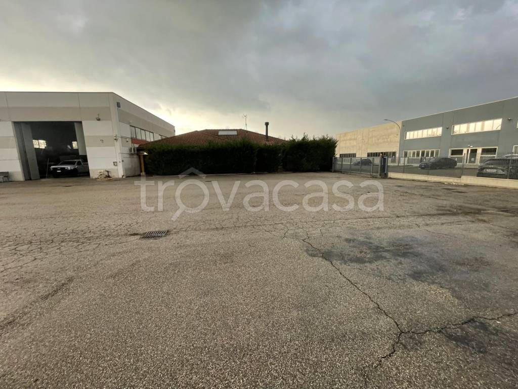 immagine annuncio 4 di 15