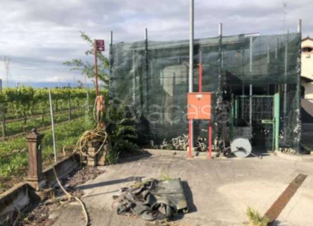 immagine annuncio 1 di 11