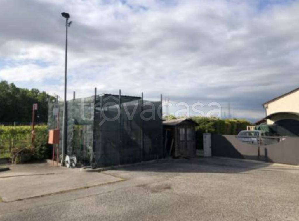 immagine annuncio 2 di 11