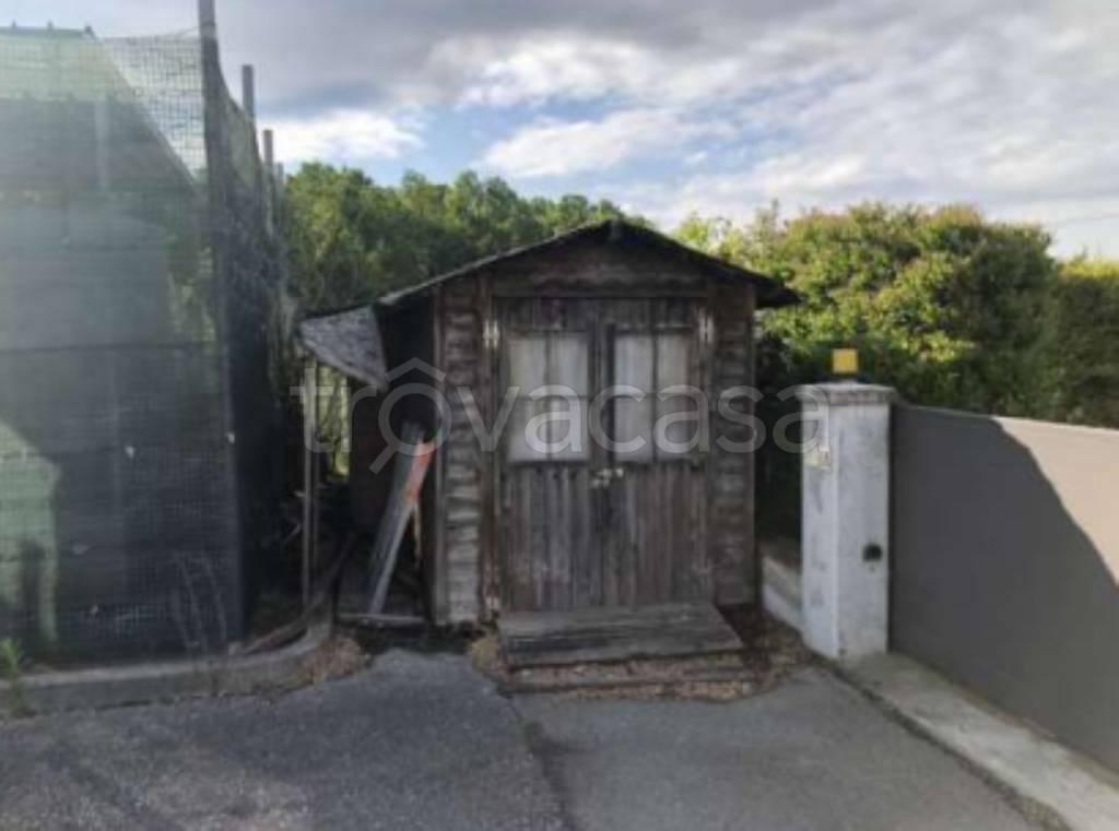 immagine annuncio 3 di 11