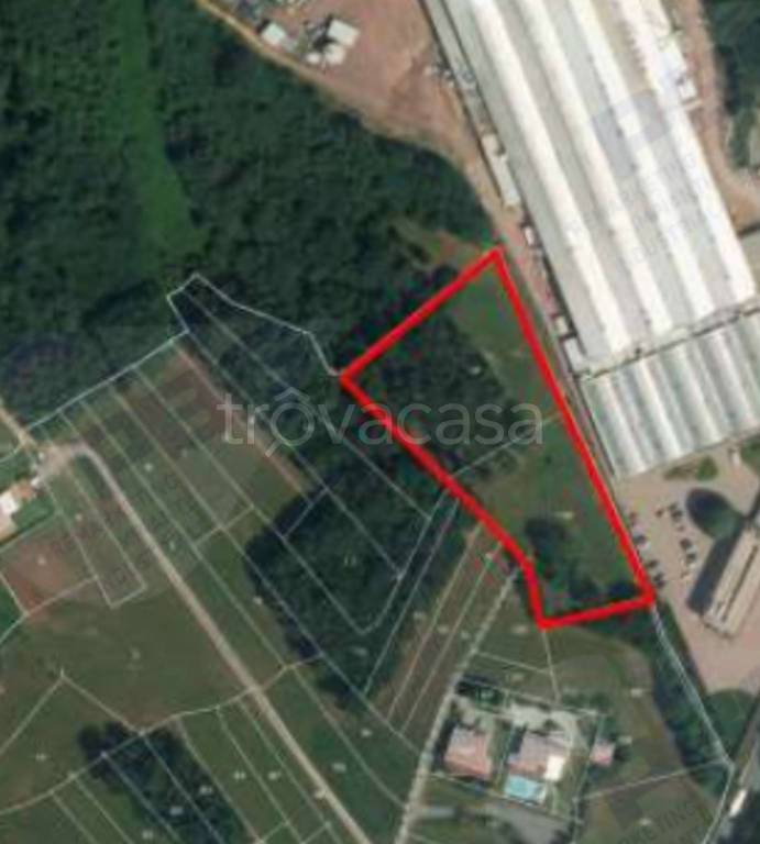 immagine annuncio 1 di 11