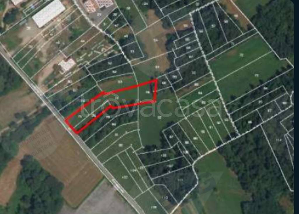 immagine annuncio 3 di 11