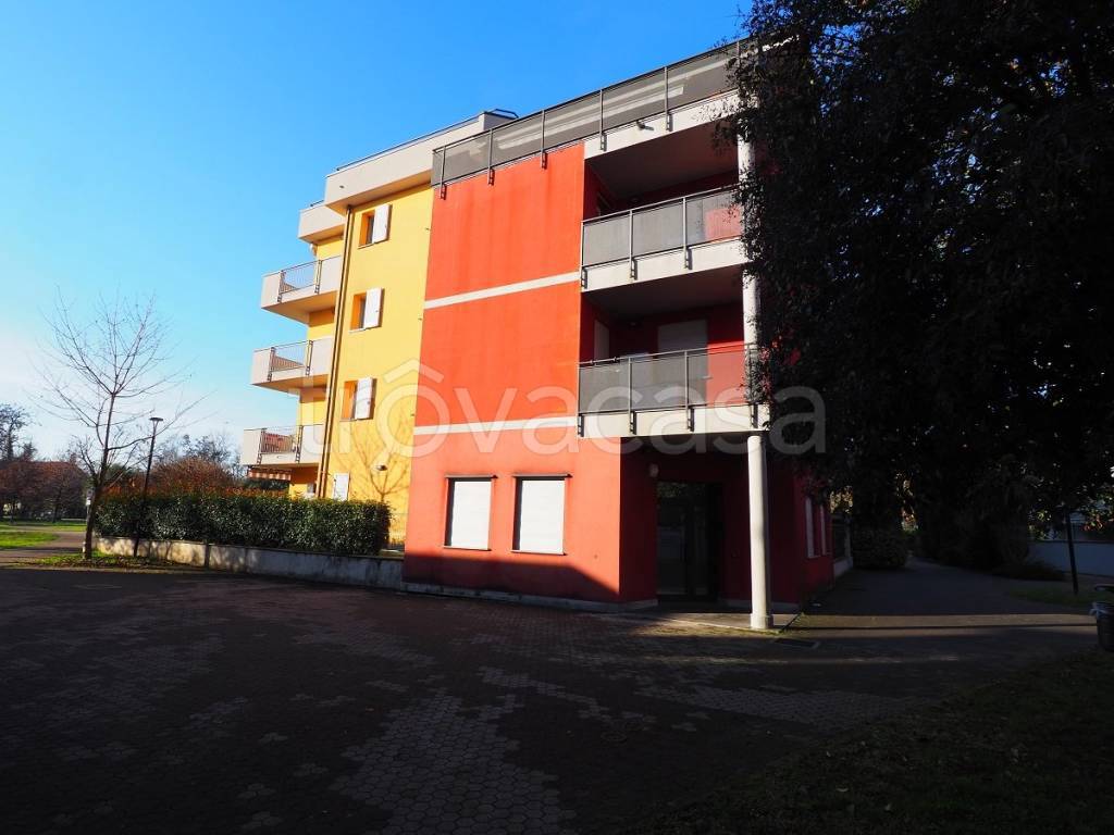 immagine annuncio 1 di 13