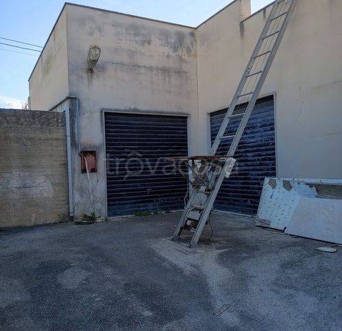 immagine annuncio 8 di 15