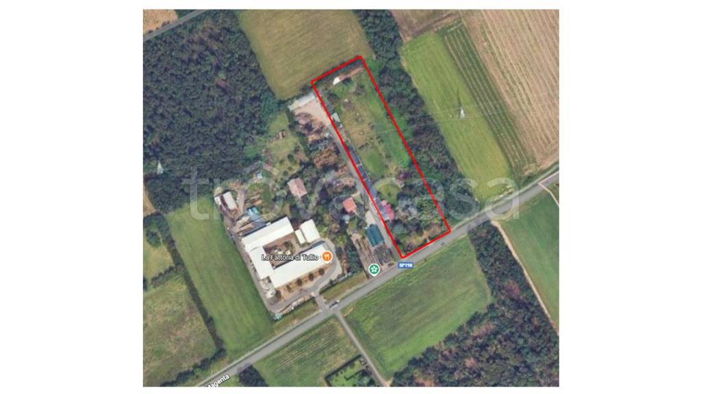 immagine annuncio 2 di 3