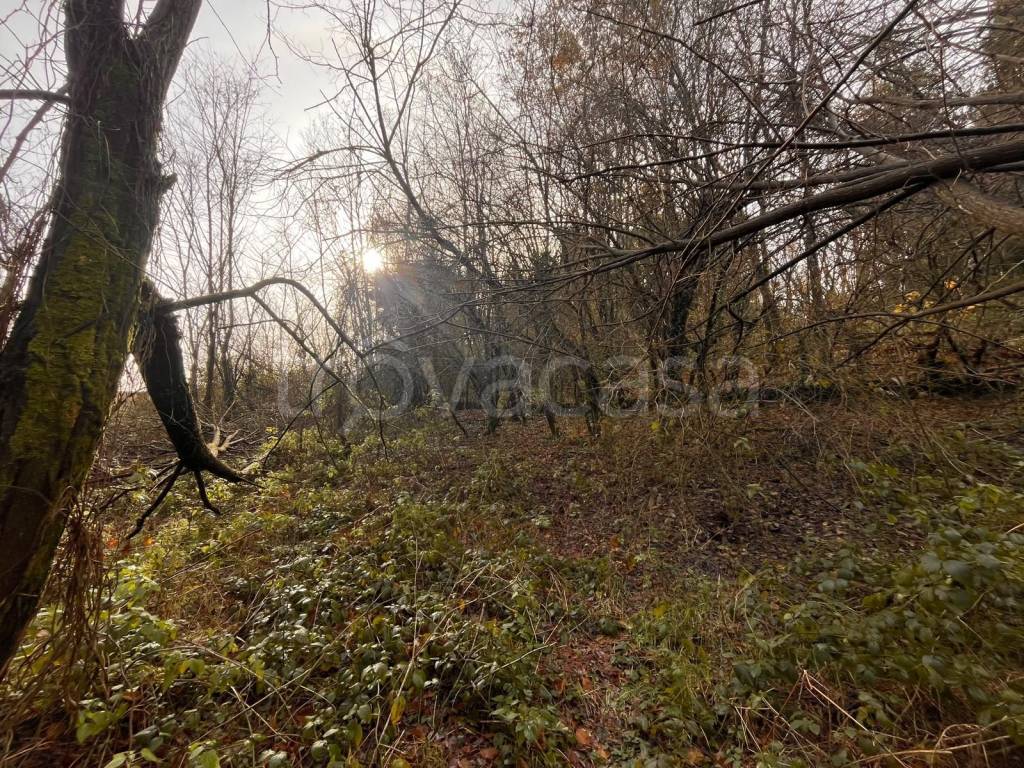 immagine annuncio 4 di 9