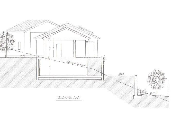 immagine annuncio 1 di 12