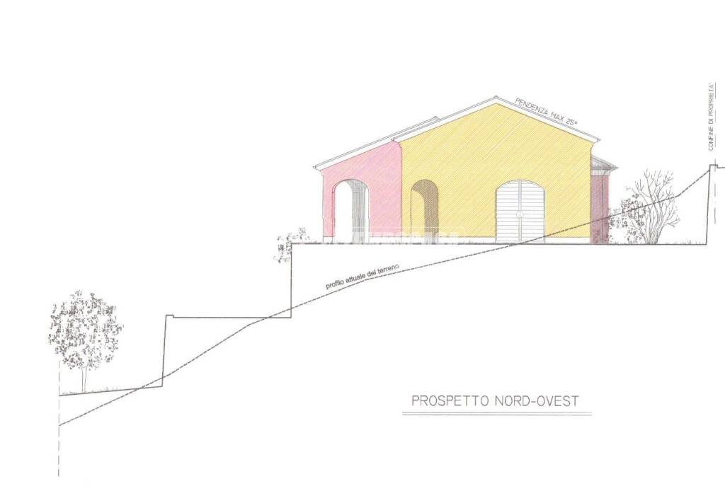 immagine annuncio 5 di 12