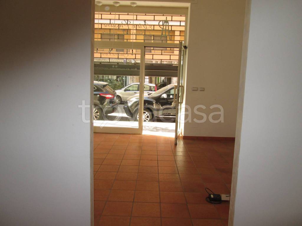 immagine annuncio 12 di 14