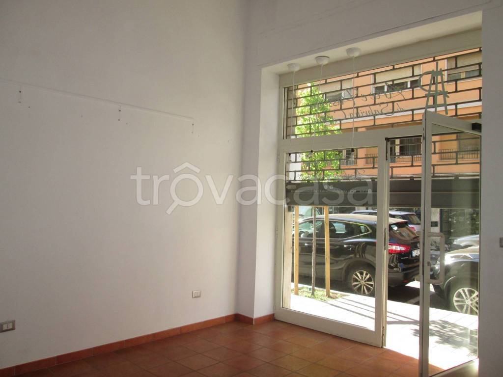 immagine annuncio 13 di 14