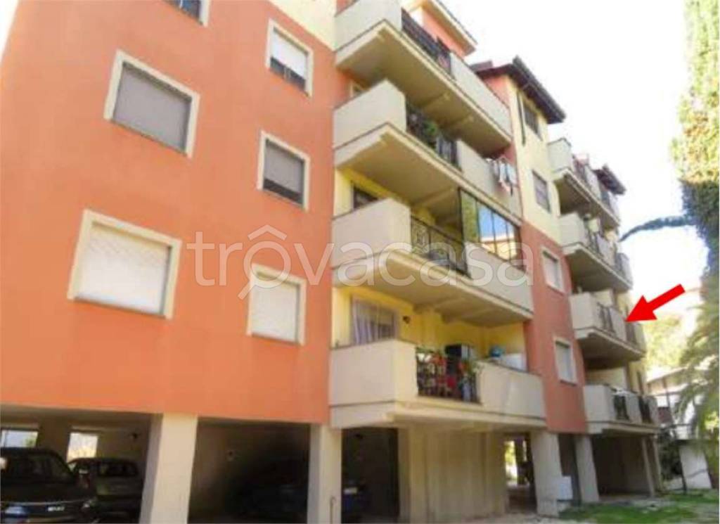 immagine annuncio 9 di 15