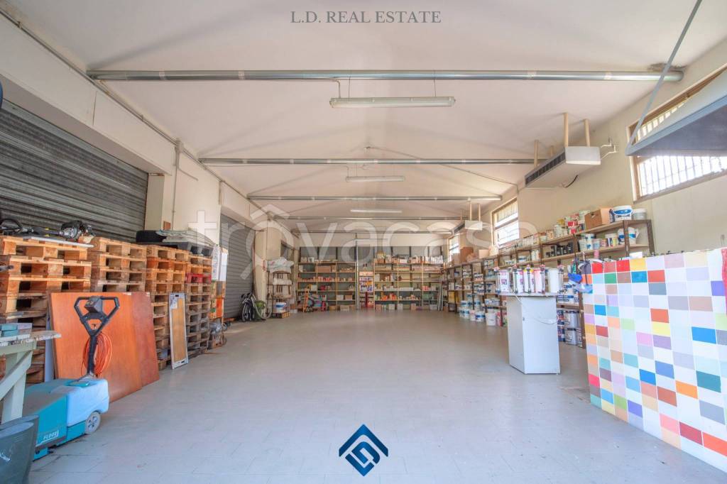 immagine annuncio 11 di 15