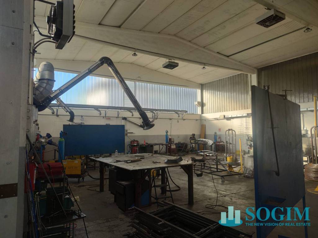 immagine annuncio 3 di 12