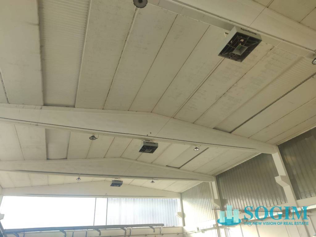 immagine annuncio 8 di 12