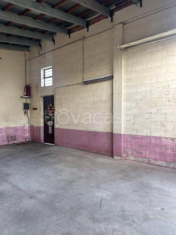 immagine annuncio 5 di 8