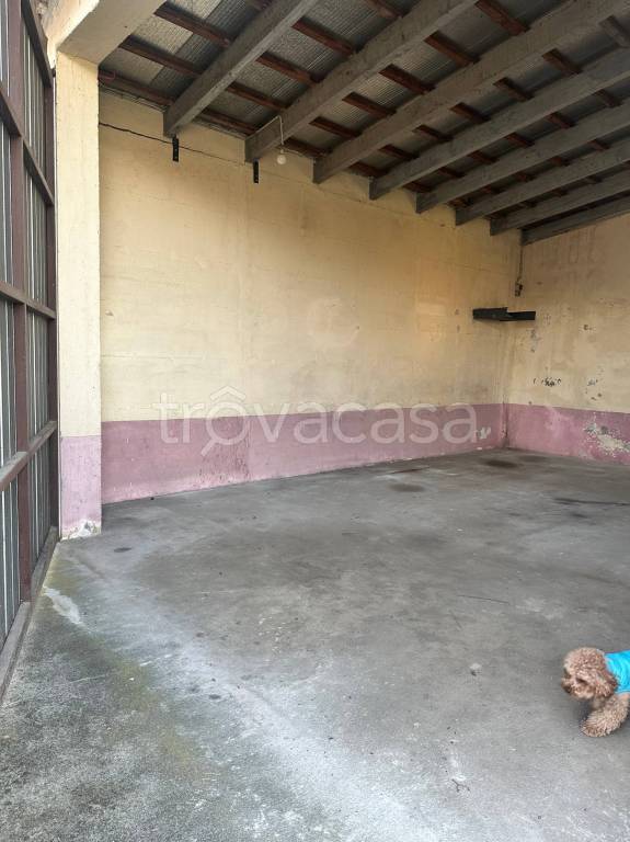 immagine annuncio 6 di 8