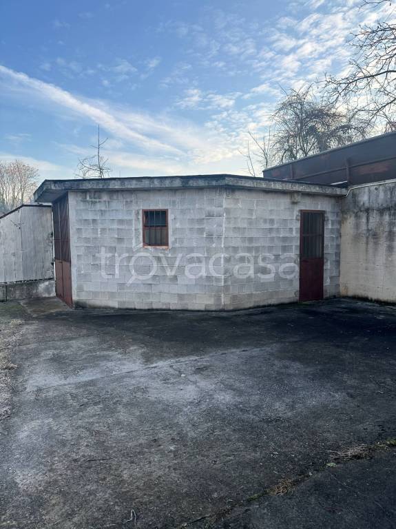 immagine annuncio 2 di 8