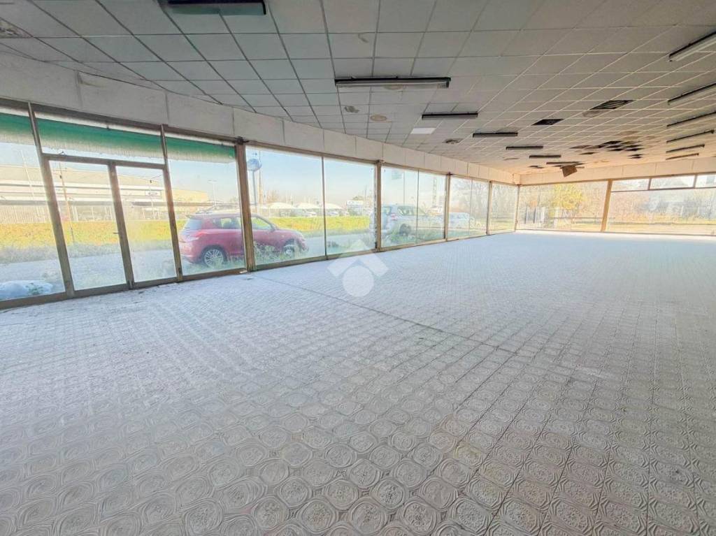 immagine annuncio 1 di 14