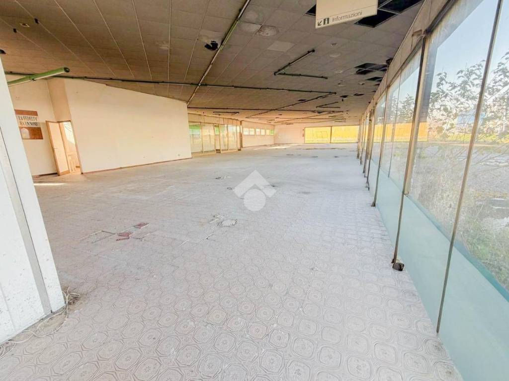 immagine annuncio 4 di 14