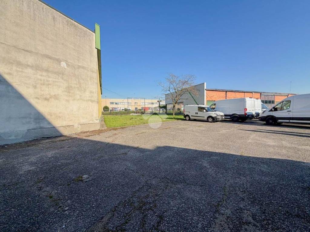 immagine annuncio 12 di 14